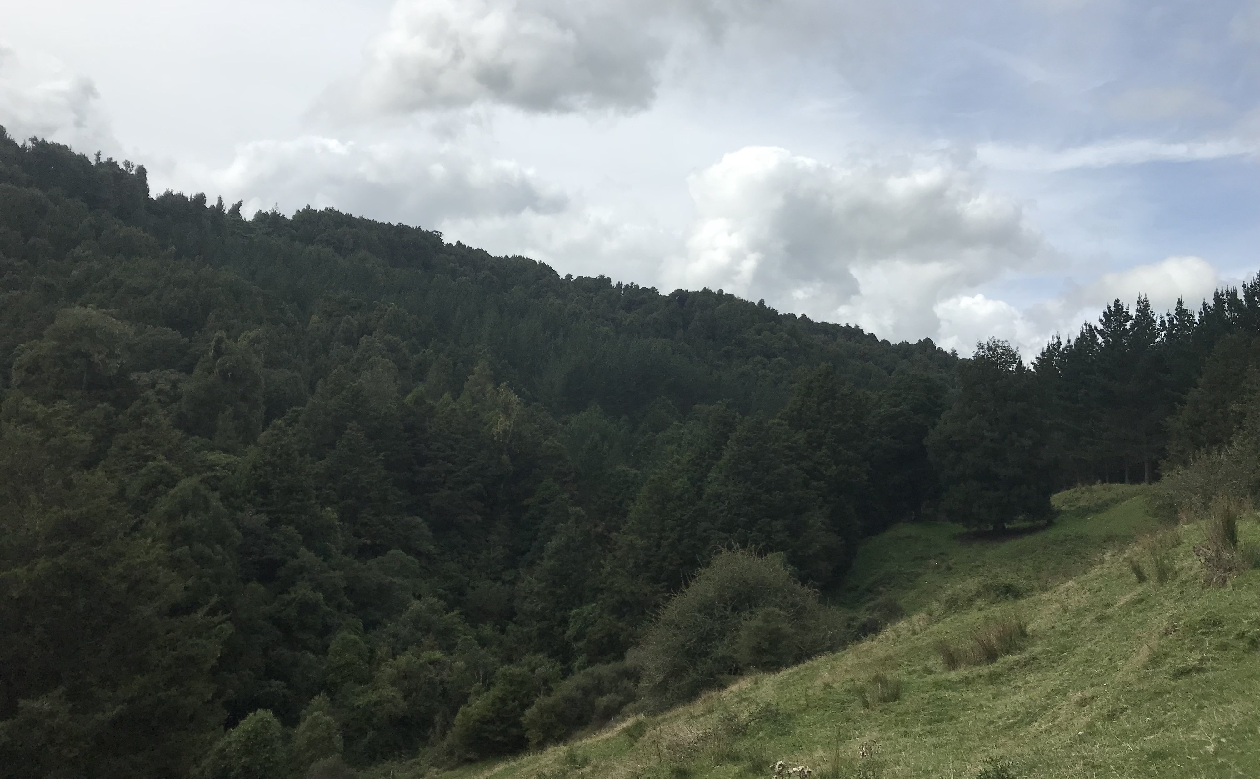 Arapito Partnership 28