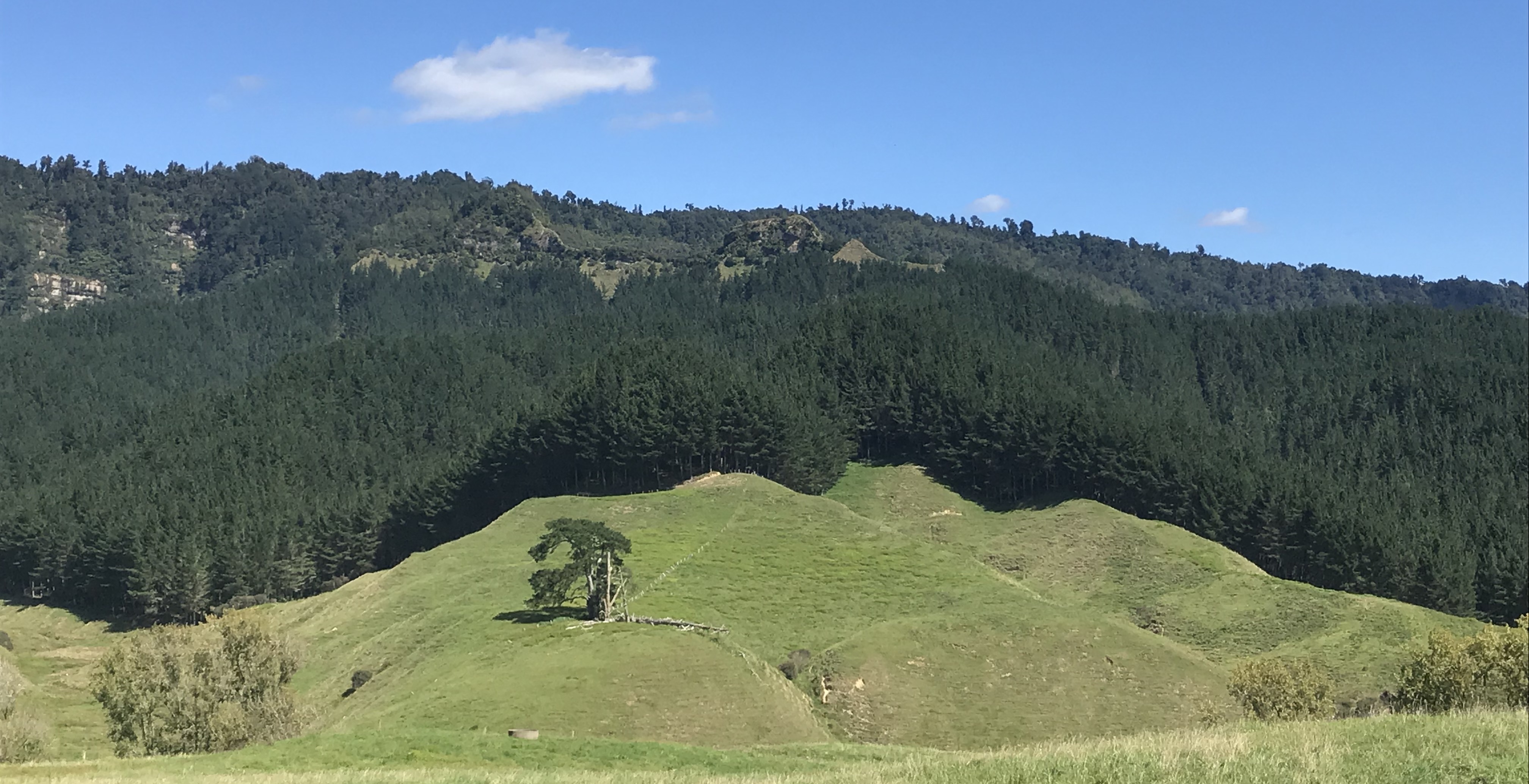 Awakino River Partnership 17