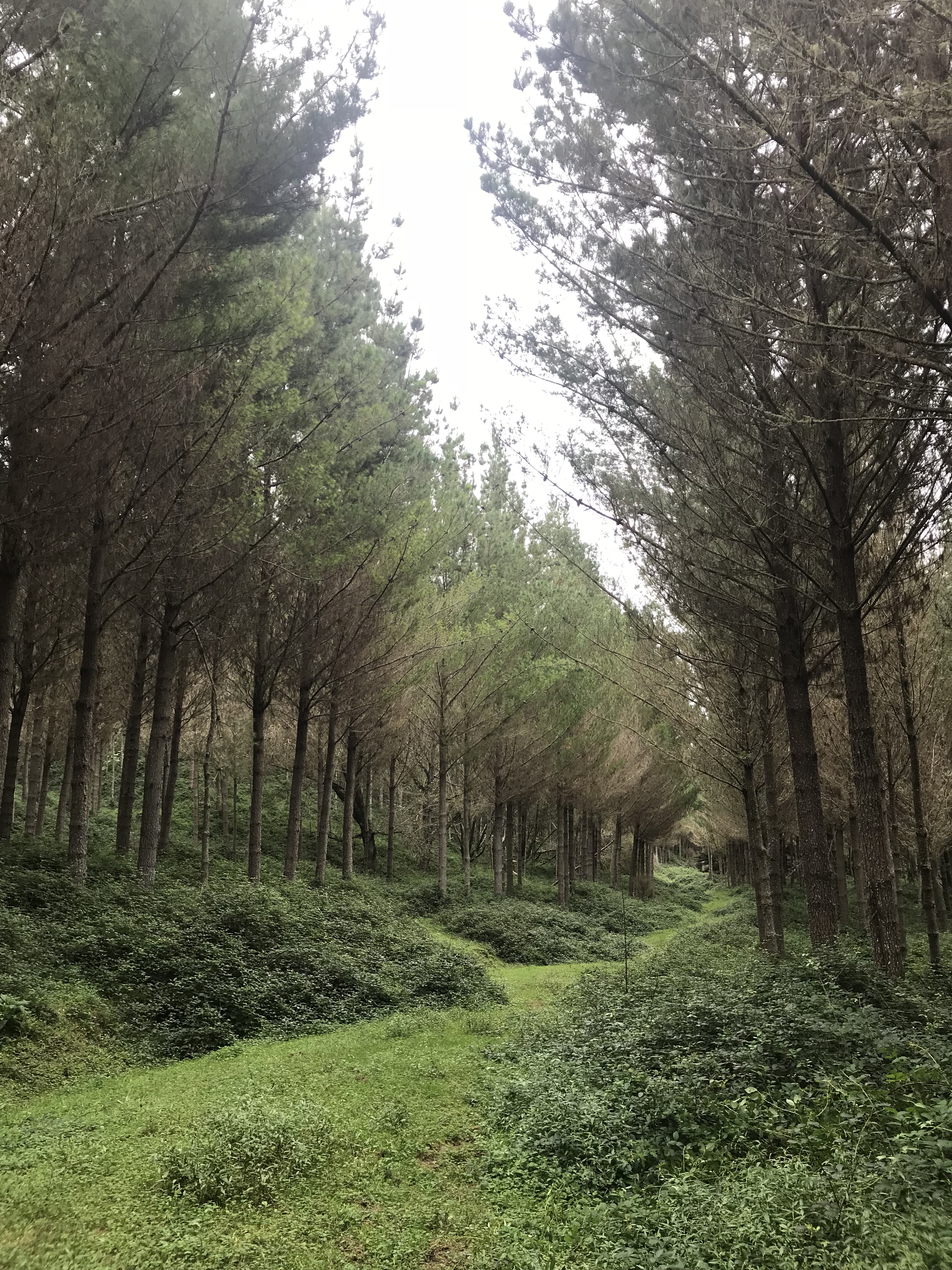 Big Valley Partnership