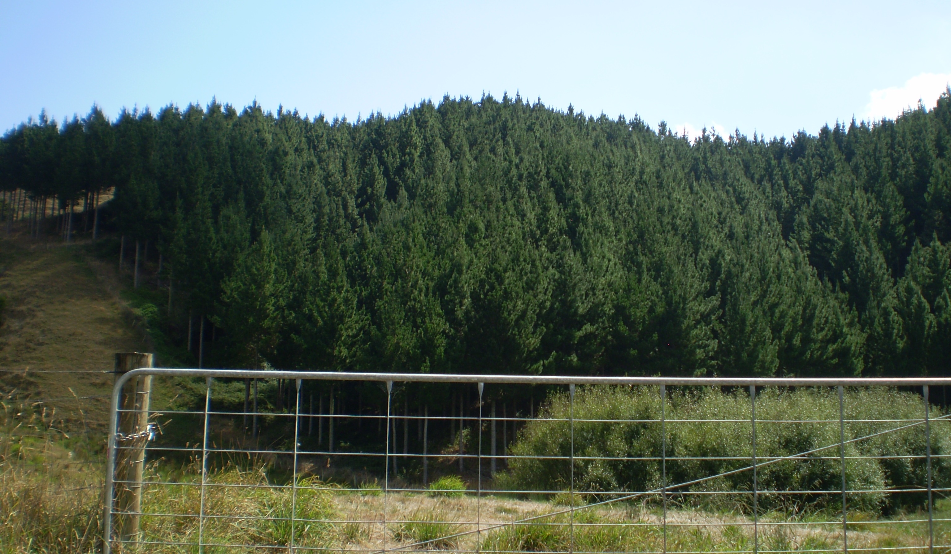 Dunmore North Partnership