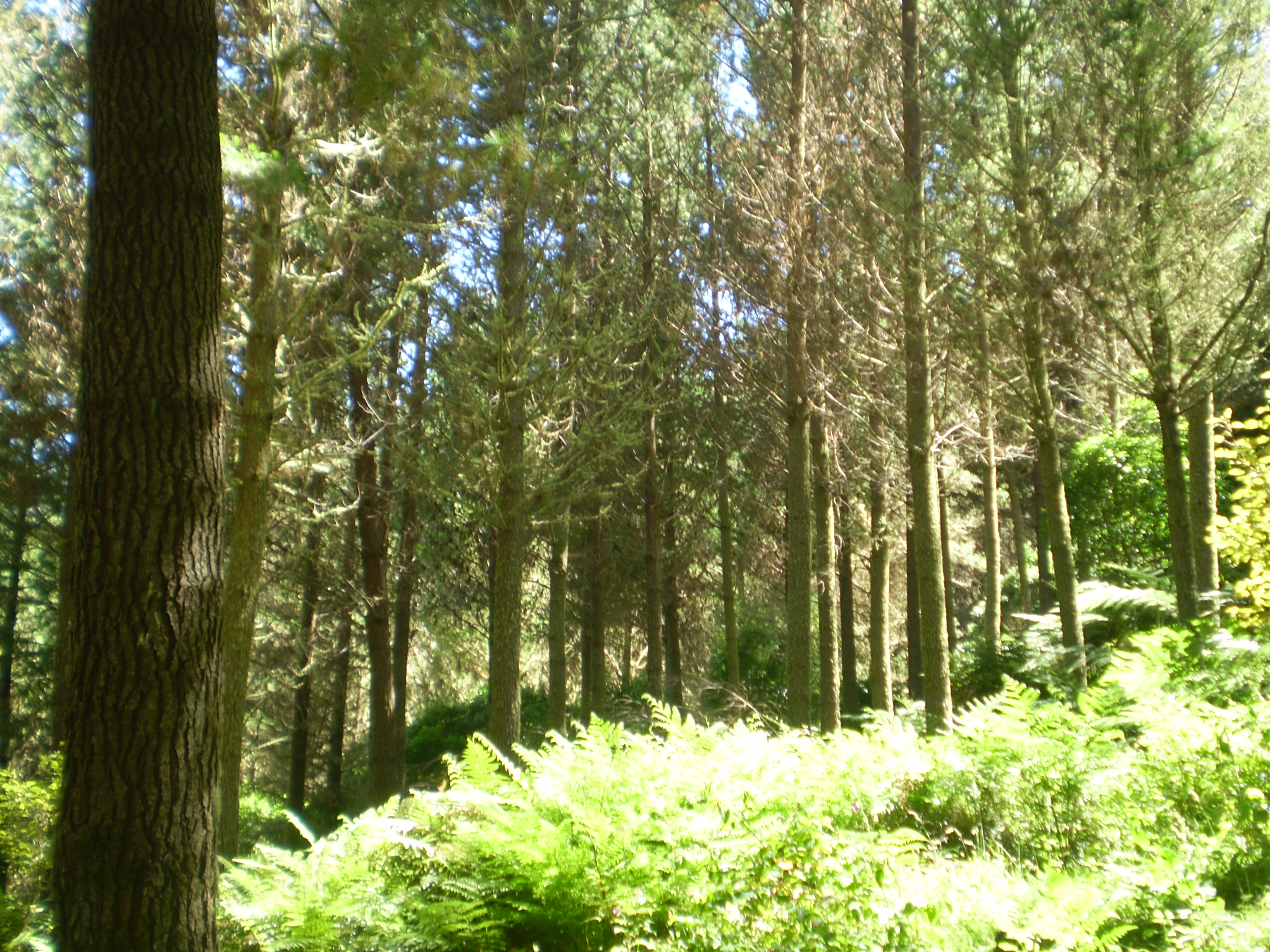 Huntaway Partnership