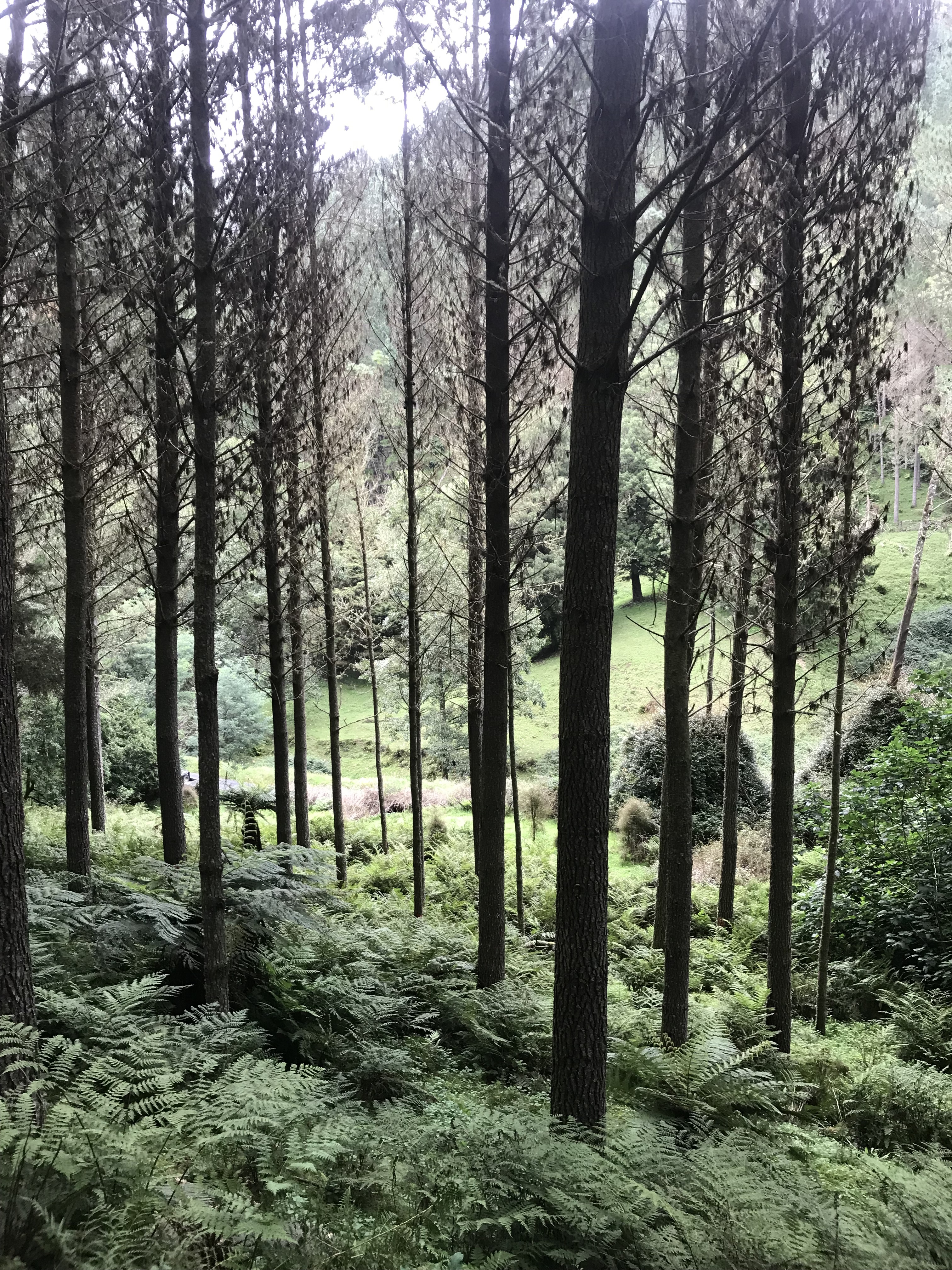 Slab Hut Partnership