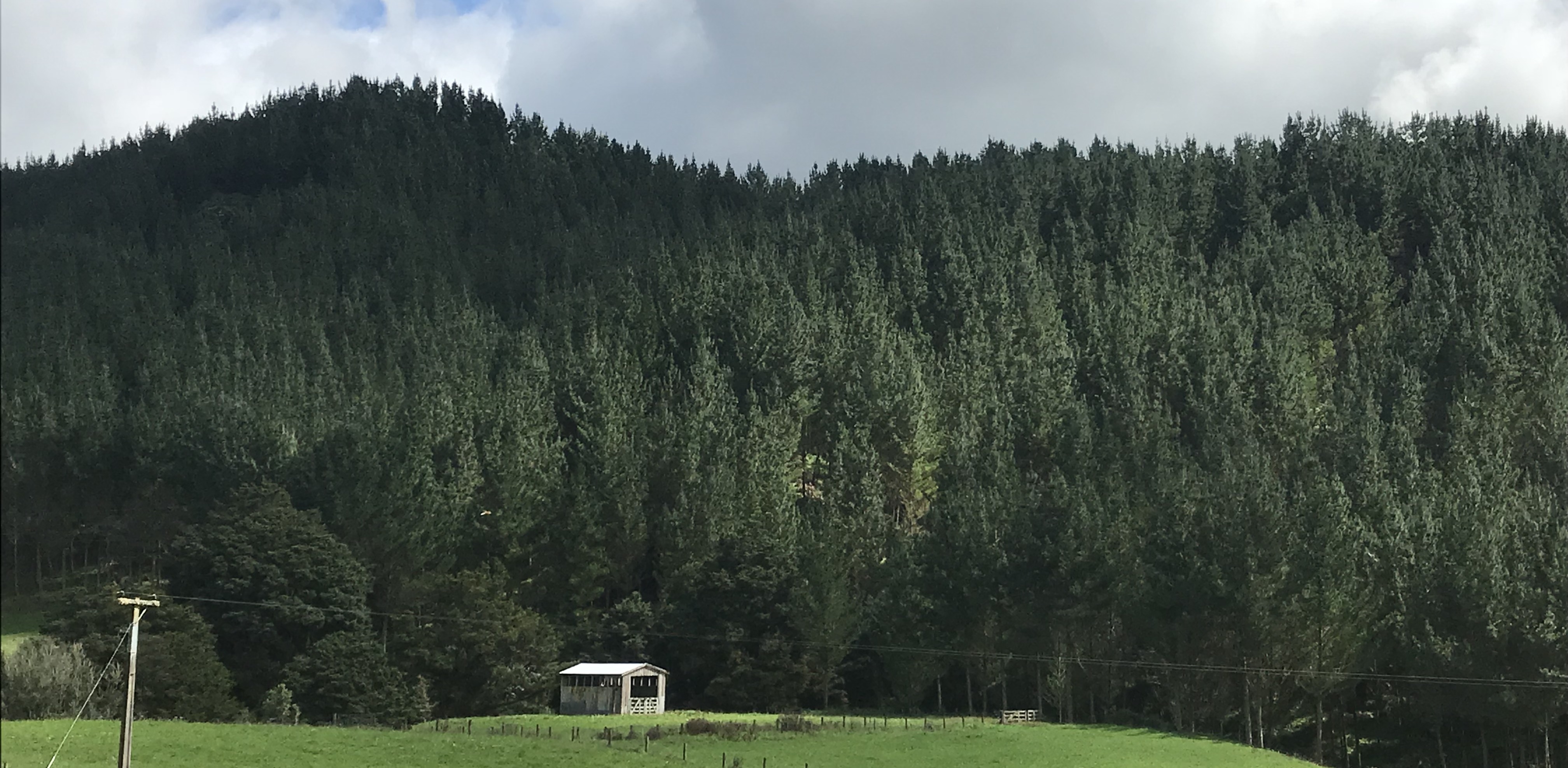 Wayleggo Partnership