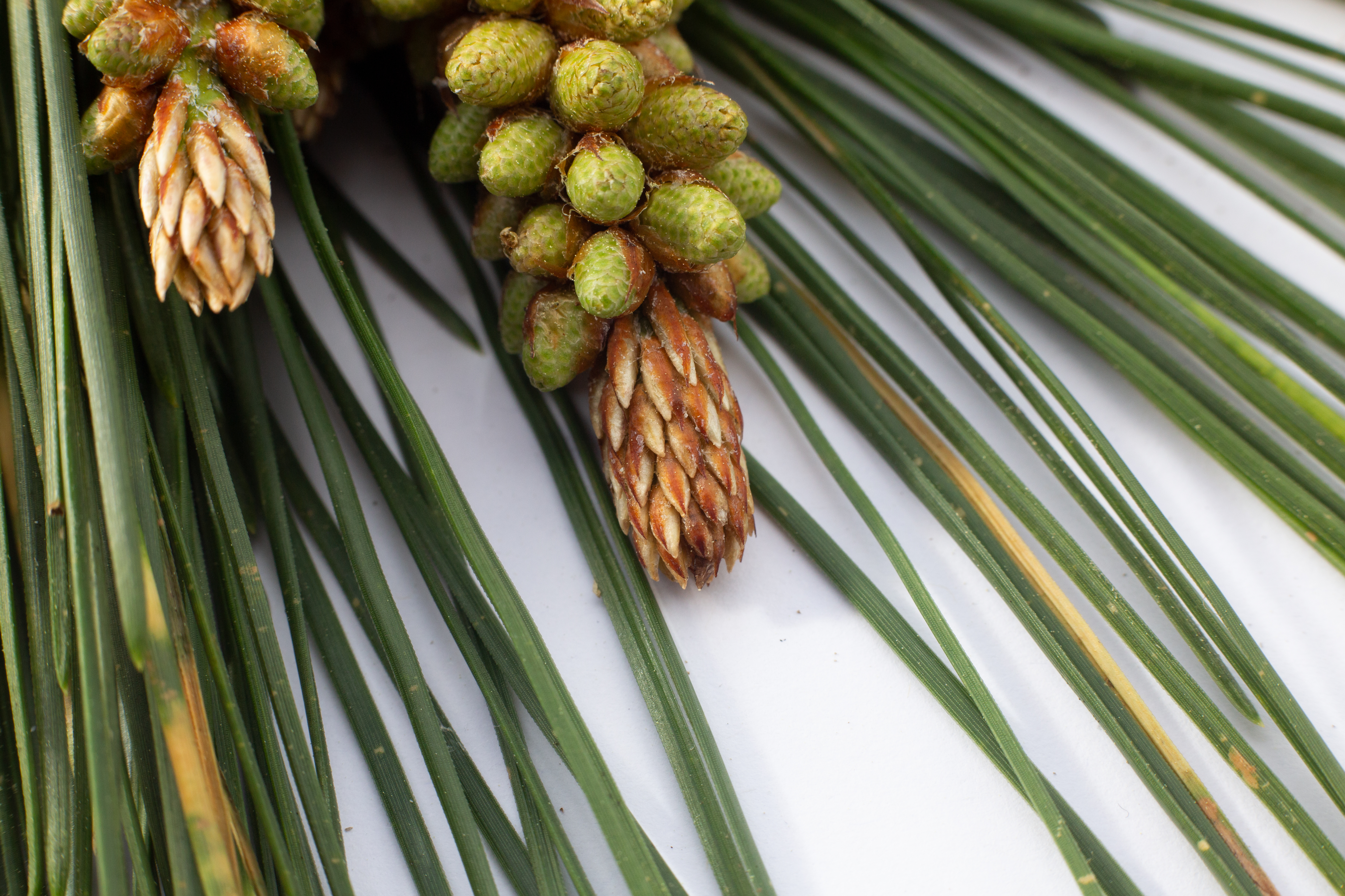 Overview Of Changes To NZ Securities Law